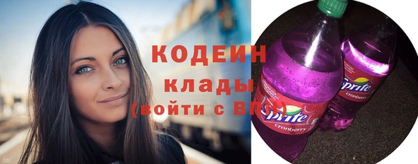 mix Инта