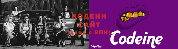 mix Инта