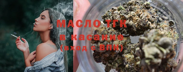 mix Инта