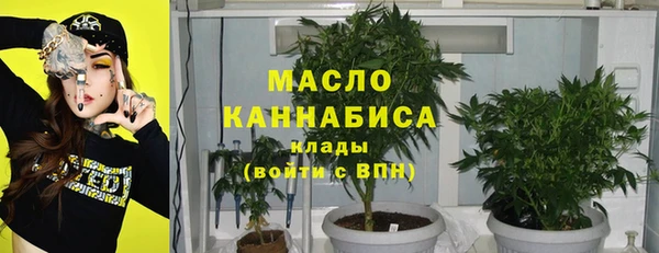 mix Инта